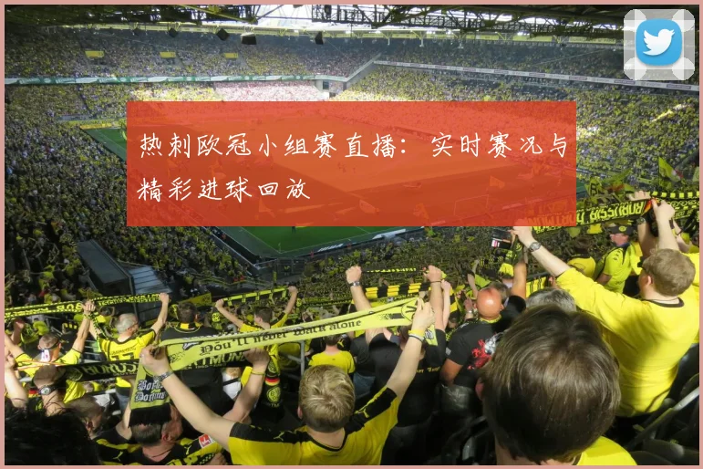 热刺欧冠小组赛直播：实时赛况与精彩进球回放